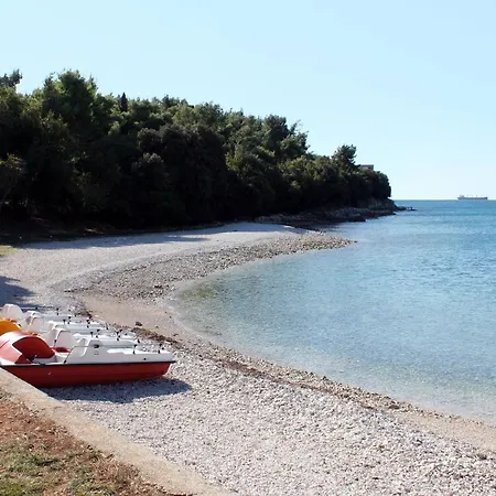 With Wifi - 13031 شقة