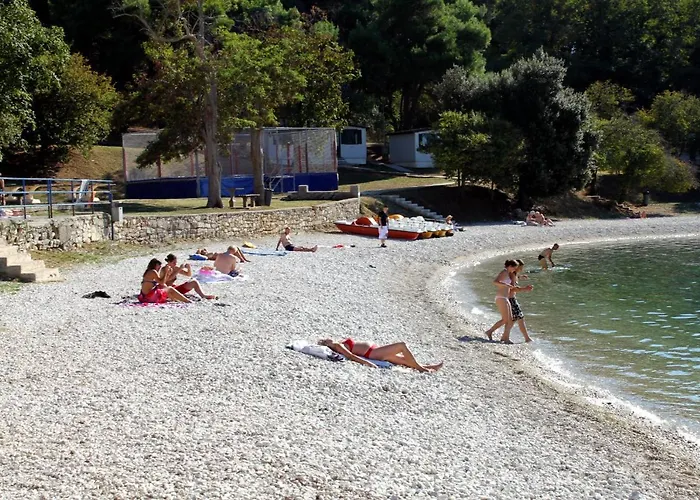 With Wifi - 13031 풀라