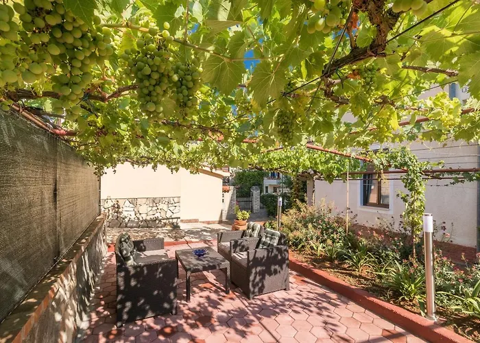 With Wifi - 13031 풀라