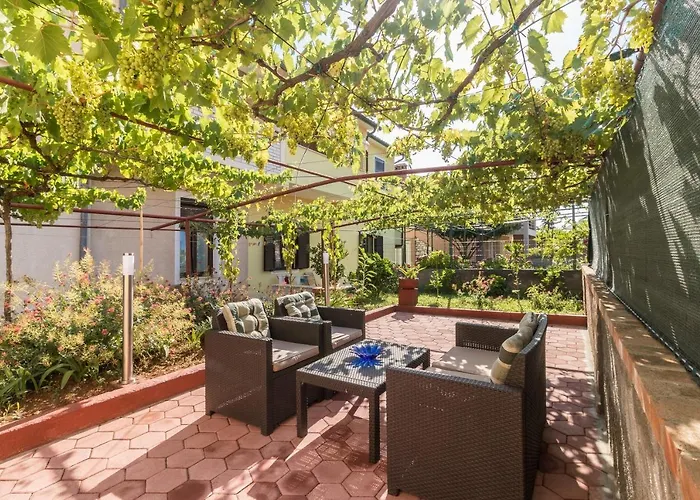 With Wifi - 13031 * 풀라